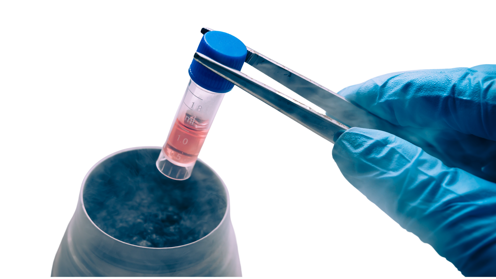 Stem cell Science